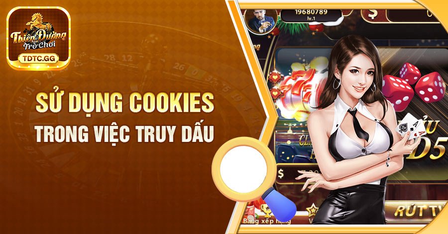 Điều khoản liên quan đến việc sử dụng cookies