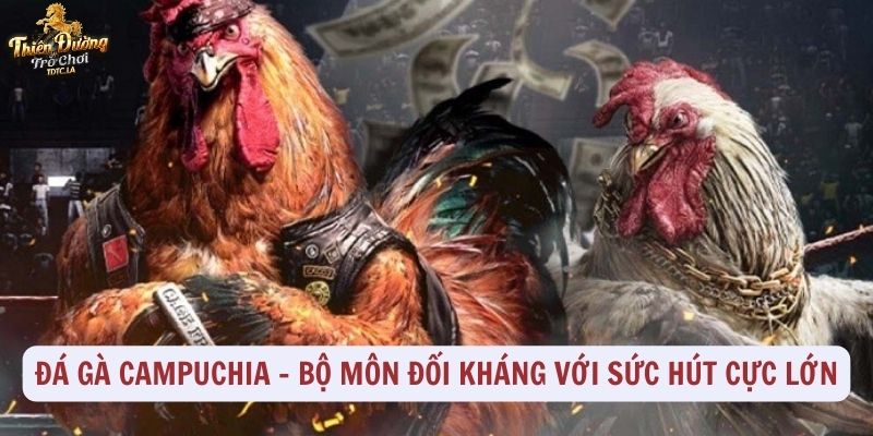 Đá gà Campuchia