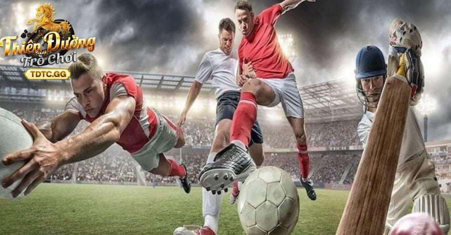 Một số cơ sở thông tin về địa chỉ đình đám