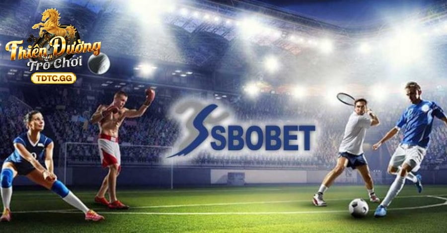 Trải nghiệm đa dạng với nhiều bộ môn nổi tiếng